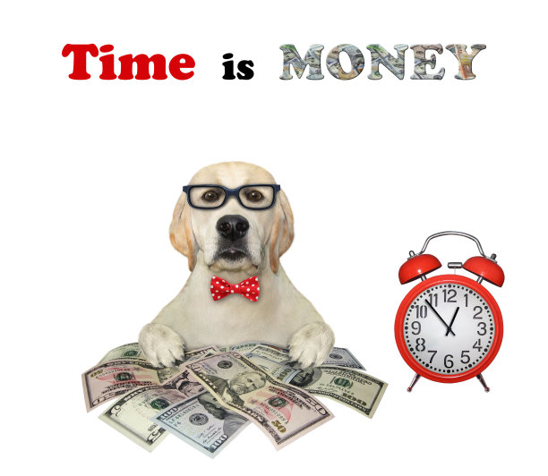 一只拉布拉多犬带着美元和闹钟图片下载