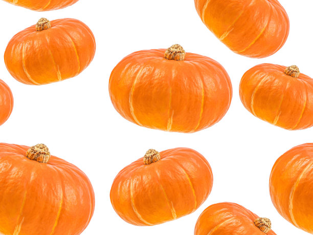 橙南瓜白底无缝图案，秋日大餐，感恩节美食图片下载