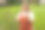 幸福的30岁女人系着围裙在家庭有机农场采摘蓝莓。季节性浆果，小生意。新鲜成熟的有机蓝莓生长在花园里。高质量照片图片下载