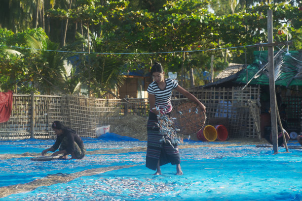 村民们提着水桶，把小鱼扔进沙滩上的网里晾干。图片下载