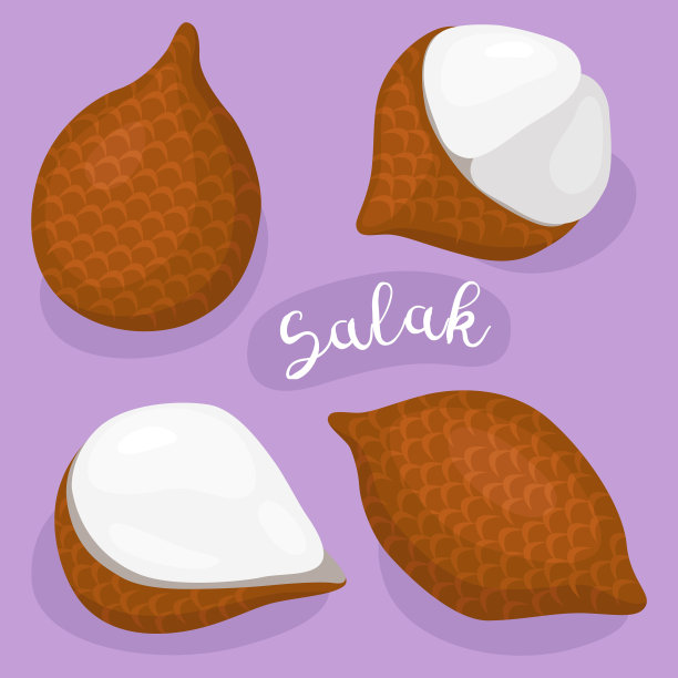 萨拉卡。热带奇异水果。图片下载