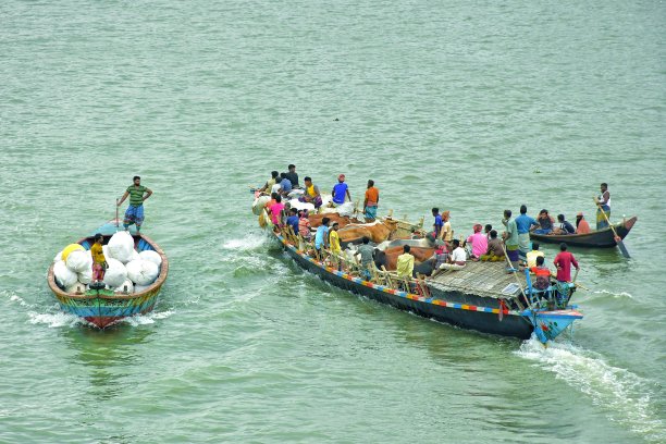 用船在繁忙的河道中运送牲畜图片下载