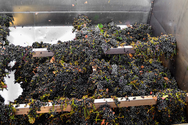 葡萄压榨机图片下载