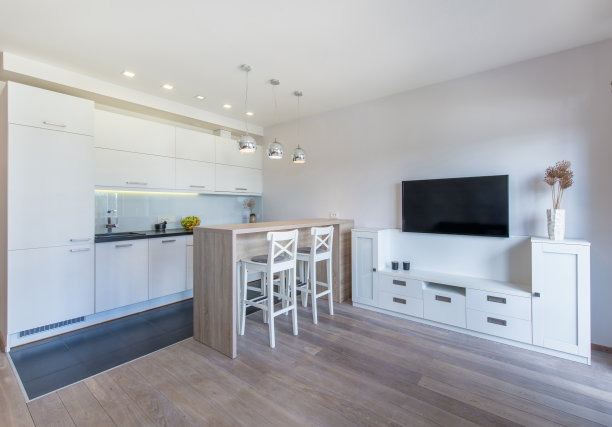 现代家庭客厅和厨房室内。豪华时尚的现代公寓。开放式室内，时尚沙发，白色家具，斯堪的纳维亚设计图片下载