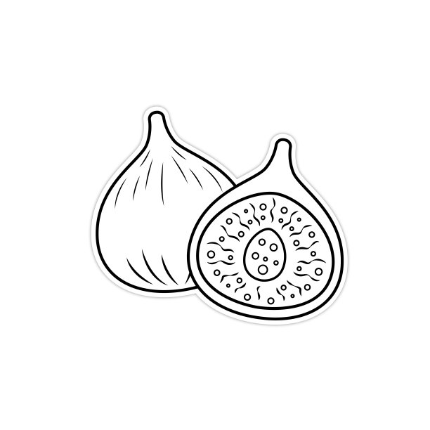 矢量插图新鲜无花果切成两半显示种子和肉插图黑色和白色绘图为孩子们学习根据图片的颜色。图片下载