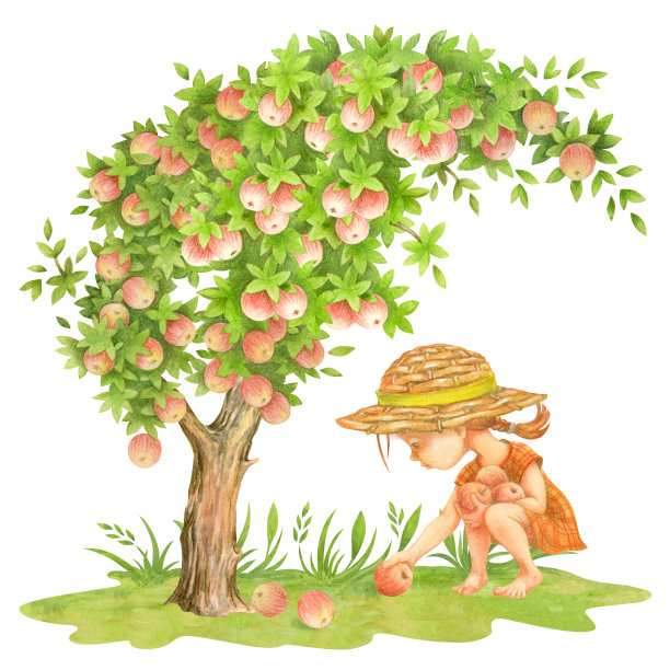 戴柳条帽的小女孩在苹果树下收获地上掉下来的苹果。水彩画苹果园里赤脚的孩子。孤立的卡通手绘插图花园印刷品和设计图片下载