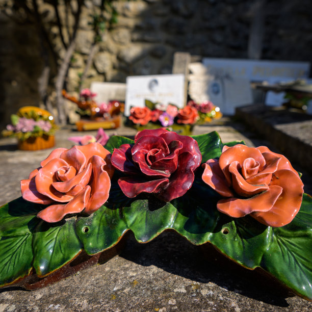 一个阳光明媚的日子里，普罗旺斯的Les Baux de Provence公墓图片下载