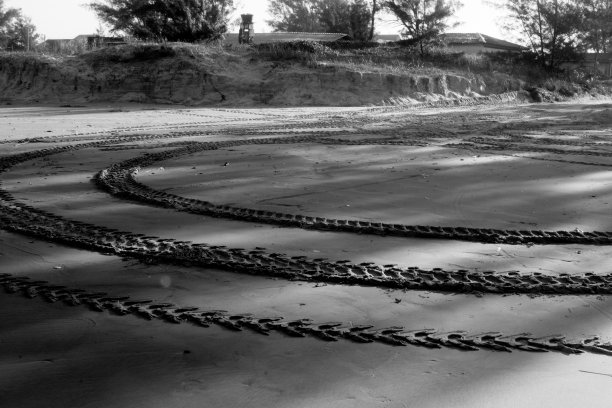 沙滩上汽车痕迹的黑白照片图片下载