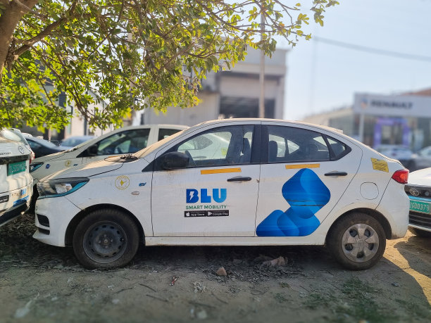 Blusmart蓝色电动汽车停靠在树荫下图片下载