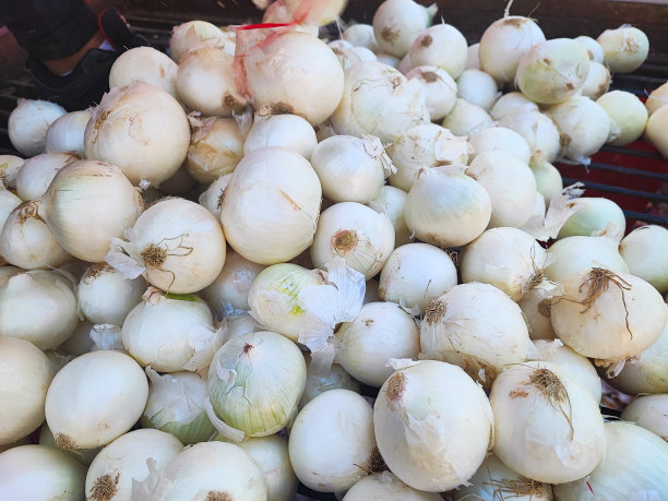 白洋葱图片下载