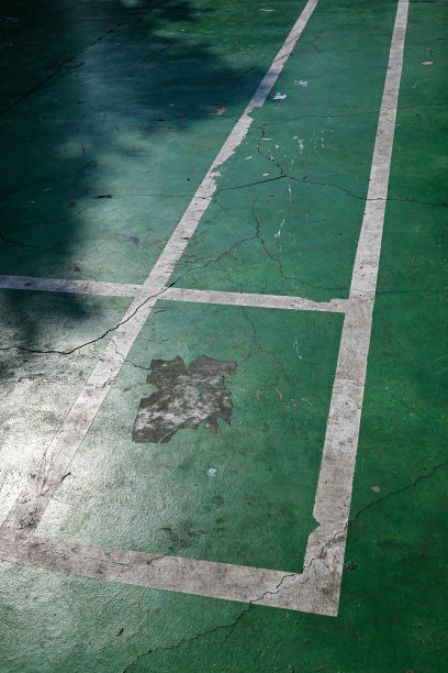 绿白相间的庭院，中间有一条白线图片下载