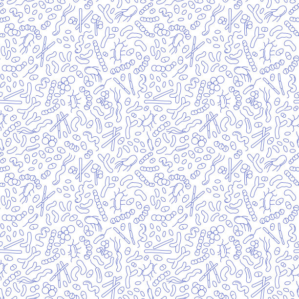 肠道菌群中细菌的详细无缝模式。图片下载