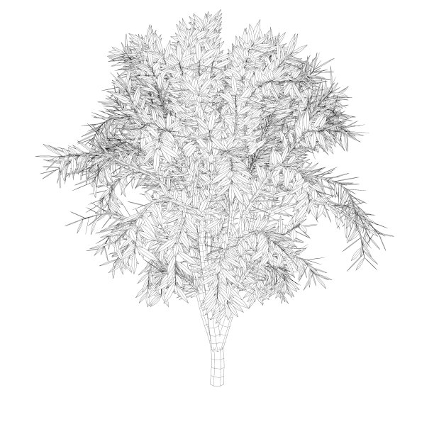 树木和植物的3D插图图片下载