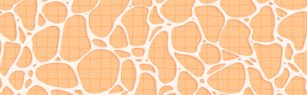 从正上方看到的水池插图图片下载