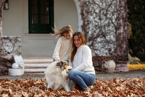 秋天，母女俩在户外与小狗玩耍的照片图片下载