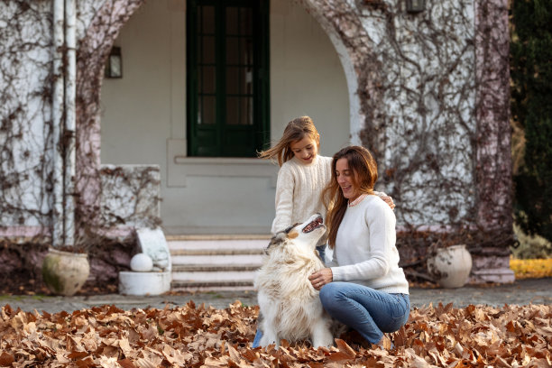 秋天，母女俩在户外与小狗玩耍的照片图片下载