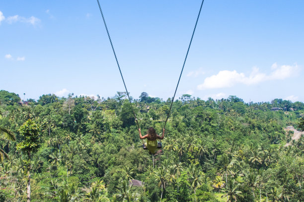 女人在树上荡秋千，对着天空图片下载
