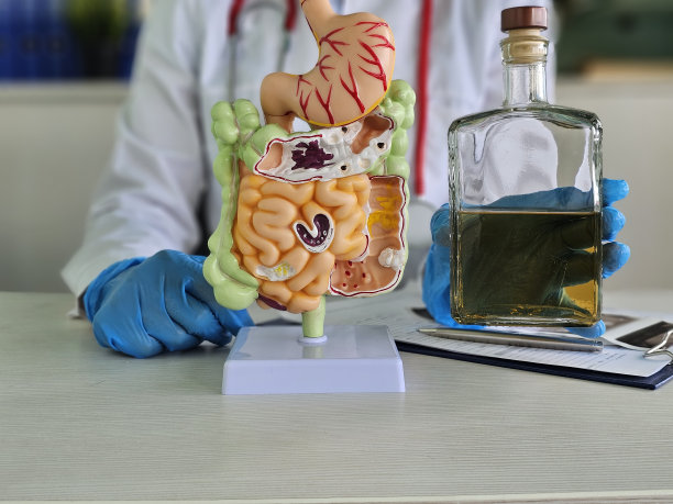 医生用胃和酒精解剖肠模型。胰腺癌、急性和慢性胰腺炎图片下载