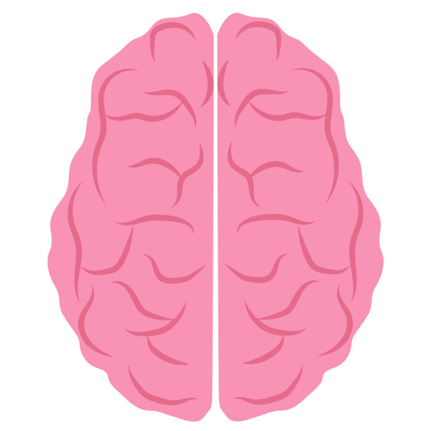 在白色背景上的人类大脑矢量插图。图片下载