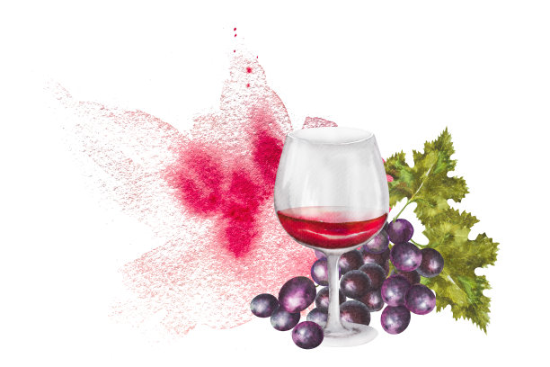 一杯红酒，几串葡萄。水彩插图一杯酒和葡萄串，手绘图片下载