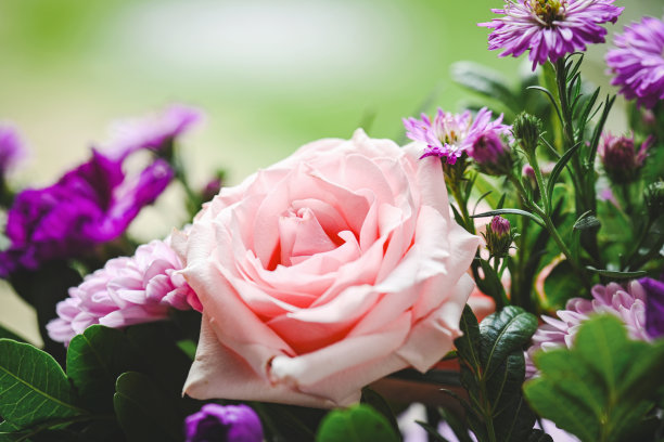 一束美丽的花图片下载