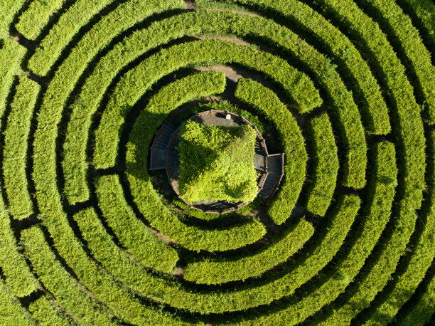 迷宫形公园图片下载