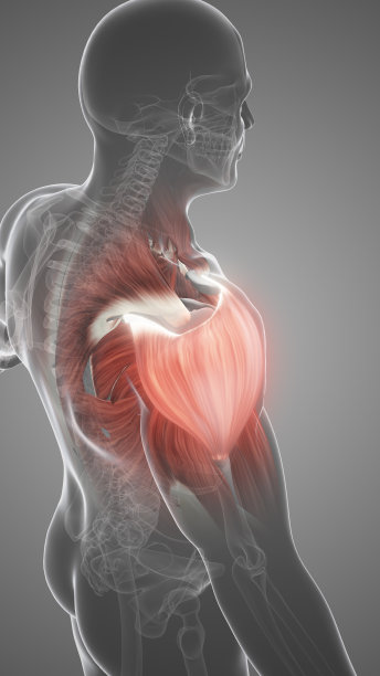 肩部疼痛和肌肉损伤图片下载