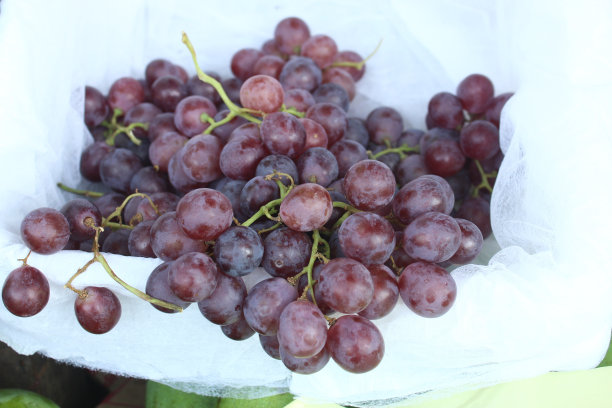 白色塑料包装的红葡萄特写图片下载