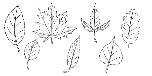 座机离开060824图片下载