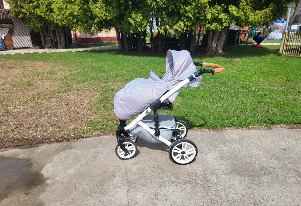 一辆浅灰色的空婴儿车停在公园的柏油路上。图片下载