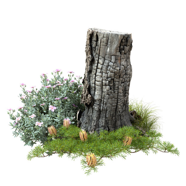 枯枝硬木在草地景观白色背景3d渲染图片下载