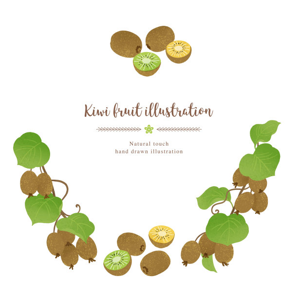 水果花环<猕猴桃>图片下载