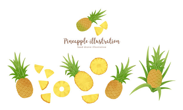 水果加兰图片下载