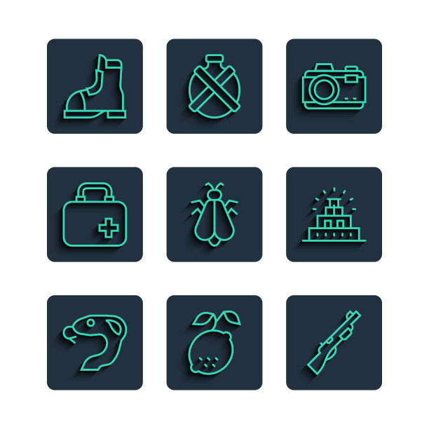 设定线蛇，柠檬，猎枪，照相机，蚊子，急救箱，猎人靴子和奇琴伊察玛雅图标。向量图片下载