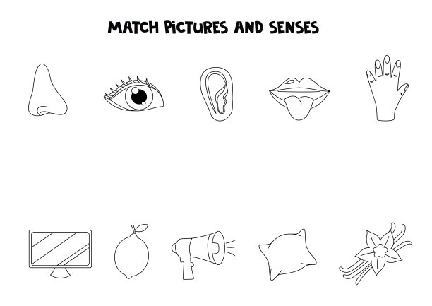 匹配对象和感觉。儿童教育逻辑游戏。五感练习题。图片下载