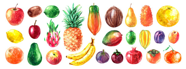 手绘水彩热带水果集。菠萝，香蕉，火龙果，猕猴桃，芒果，椰子，百香果，鳄梨图片下载