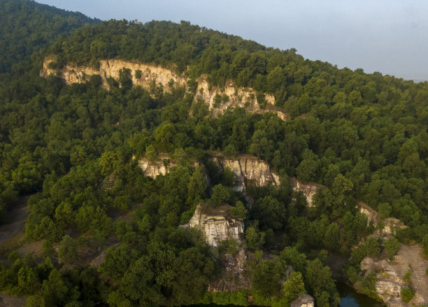 树木生长在山上的抽象照片图片下载