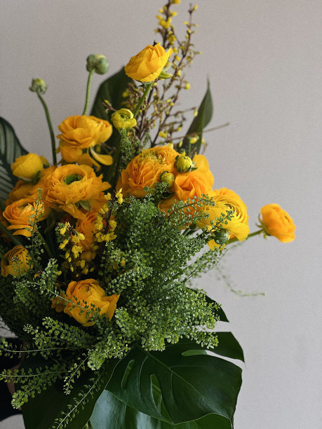美丽的异国情调花束新鲜毛茛，灯盏花，怪物花和叶子，在灰色的墙壁背景，垂直图像图片下载