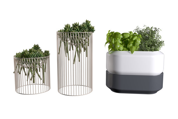 金属丝网和陶瓷花盆里的植物，罗勒和迷迭香品种。3 d渲染。图片下载