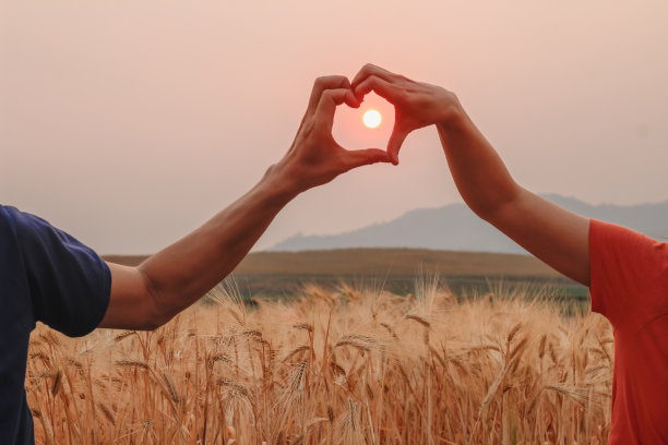 情侣用手比心表达爱意和友谊图片下载