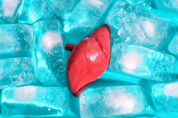 详细的人体肝脏模型定位在冰块对蓝绿色背景图片下载