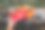 为了应对紧急情况，请确保为安全旅行或活动准备好急救箱和背包。把这些重要的东西放在任何时候都很容易拿到的地方图片下载