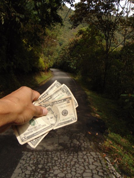 手中的美元图片下载