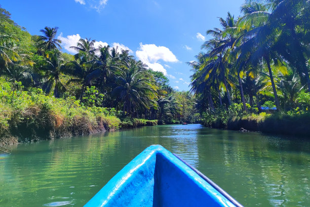 从小船上俯瞰科克河图片下载
