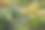 花园水管近景。夏日花园，女园丁用软管给植物浇水。照顾好鲜花。图片下载
