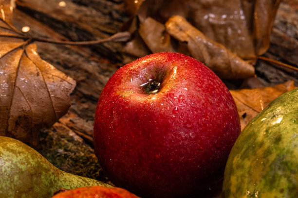 新鲜的秋天收获的水果在质朴的木制背景-股票照片图片下载