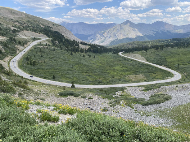 杨木通过图片下载