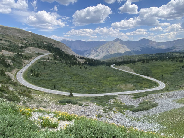 杨木通过图片下载