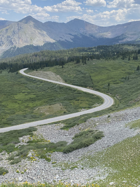 杨木通过图片下载