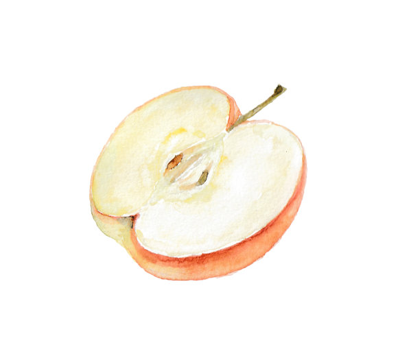 用水彩画的苹果插图图片下载